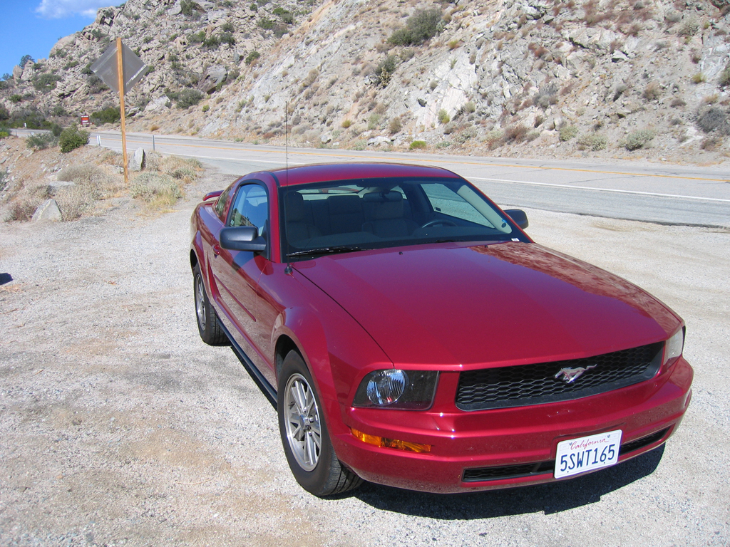 mustang front view