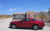 Road Trip: San Diego to Joshua Tree National Park (and back) in a rented 2006 V6 Mustang