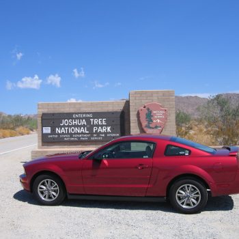 Road Trip: San Diego to Joshua Tree National Park (and back) in a rented 2006 V6 Mustang