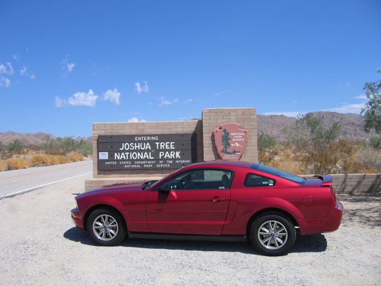 Road Trip: San Diego to Joshua Tree National Park (and back) in a rented 2006 V6 Mustang