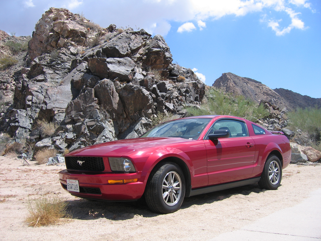 mustang in the sand