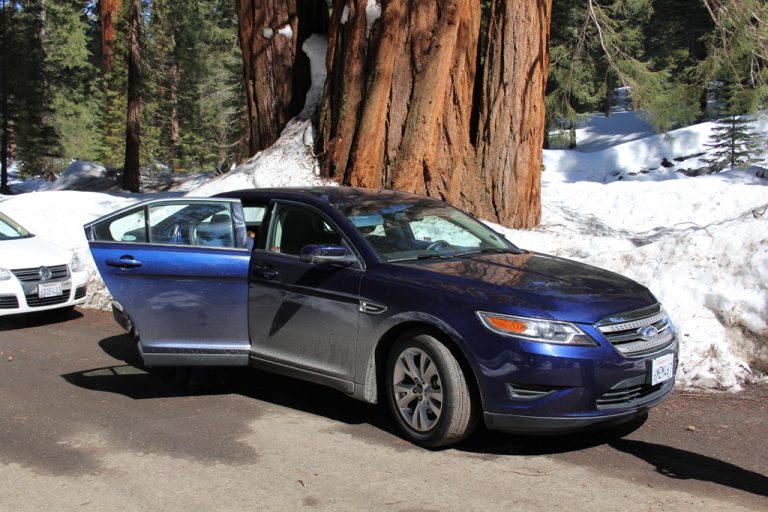 2010 ford taurus