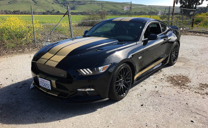 shelby mustang gt-h stripes