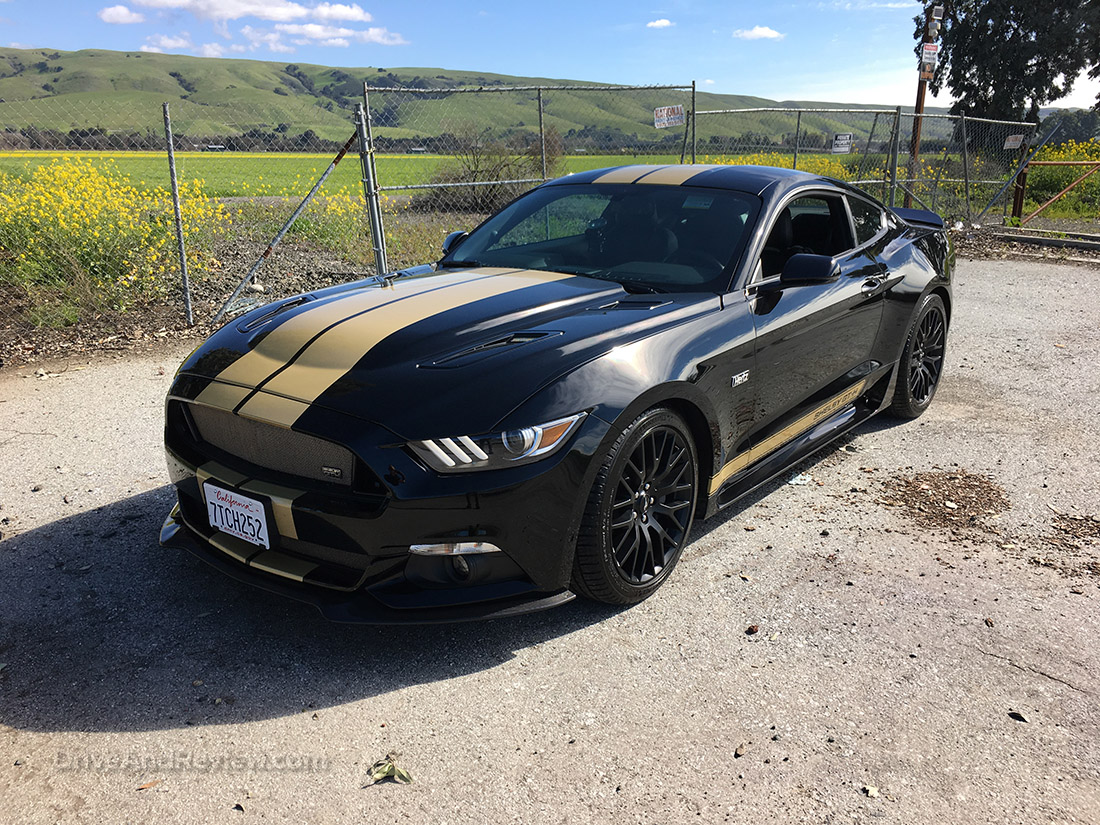 shelby mustang gt-h stripes