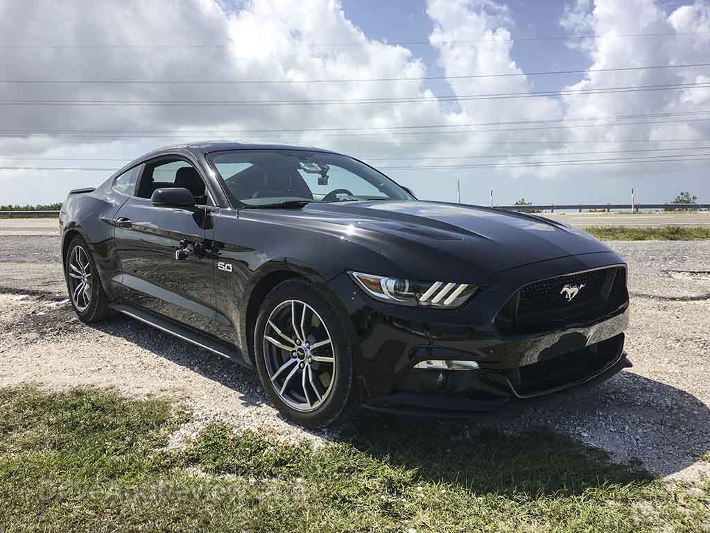 Black 5.0 Mustang