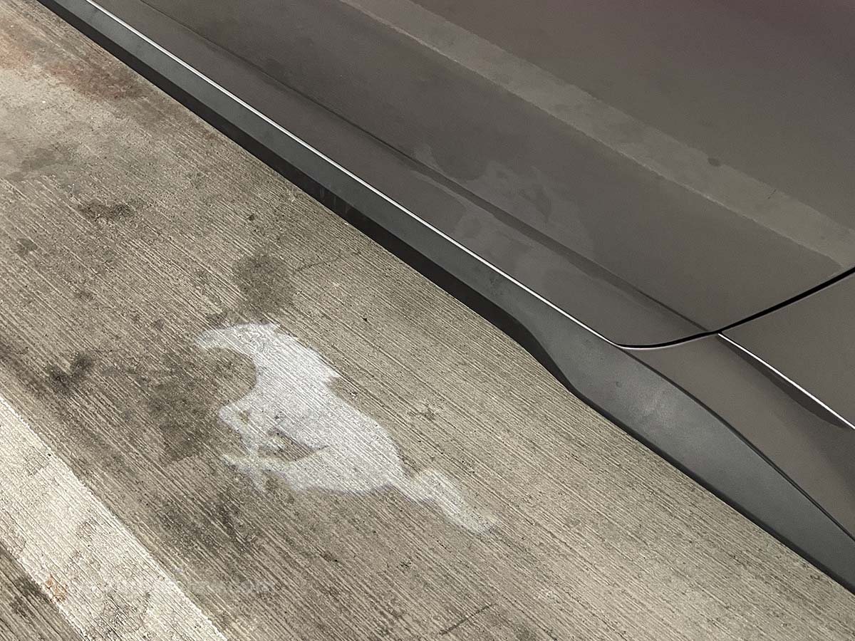 2025 Ford Mustang projected mustang emblem