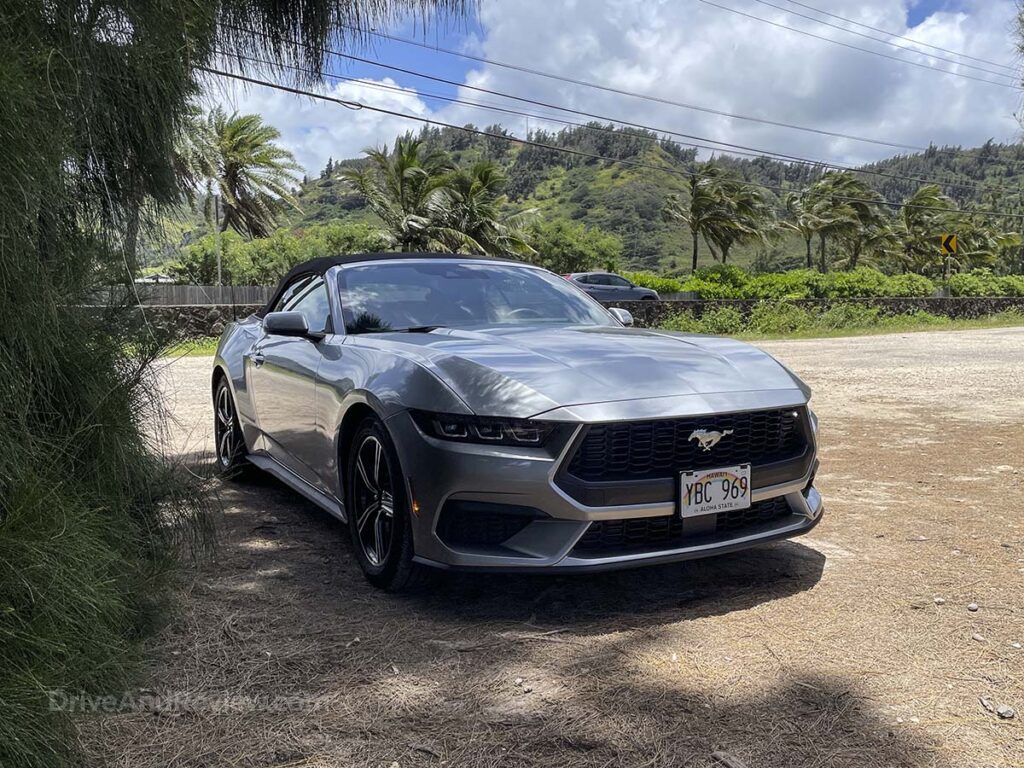 2025 Ford Mustang convertible parked under a palm tree